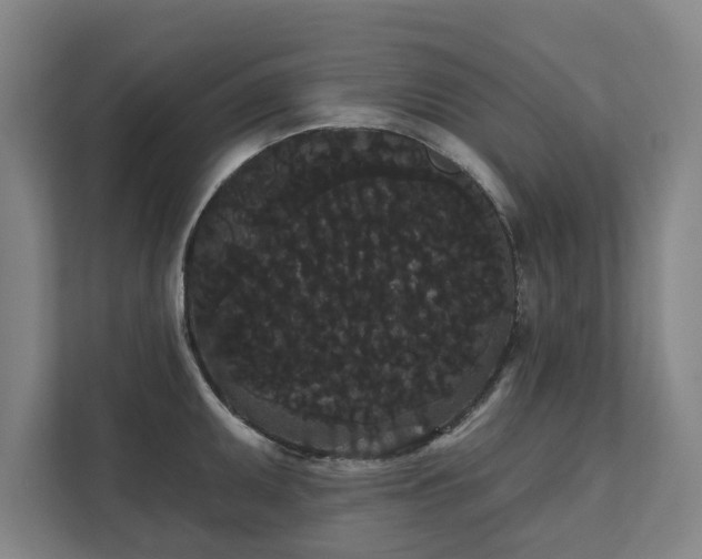 X0000111421095200907201043