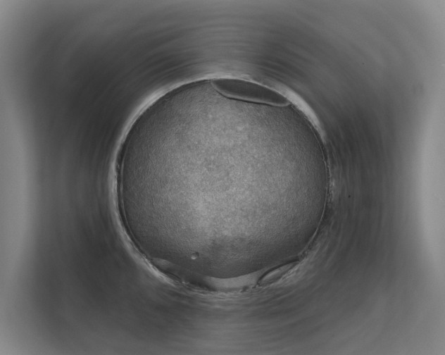 X0000111421096200907201043