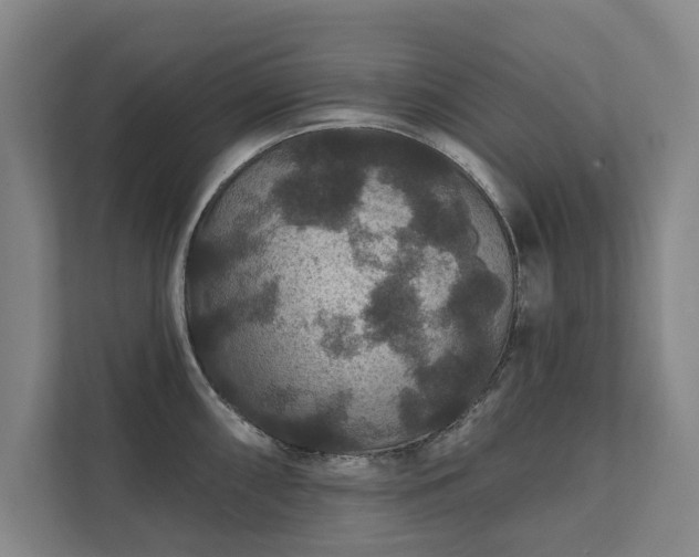 X0000111421098200907201043