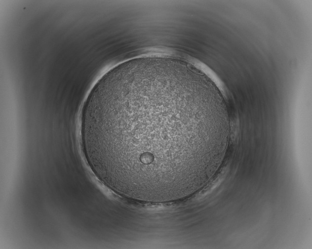 X0000111421099200907201043