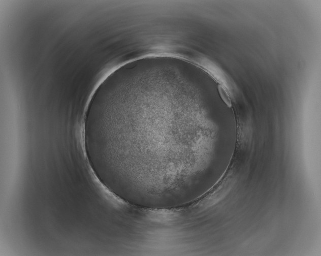 X0000111421100200907201043