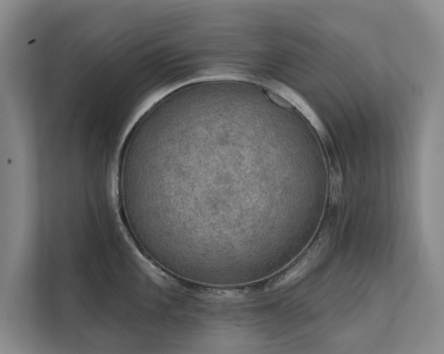 X0000111421101200907201043