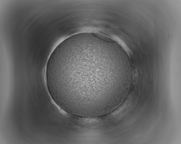 X0000111421103200907201043