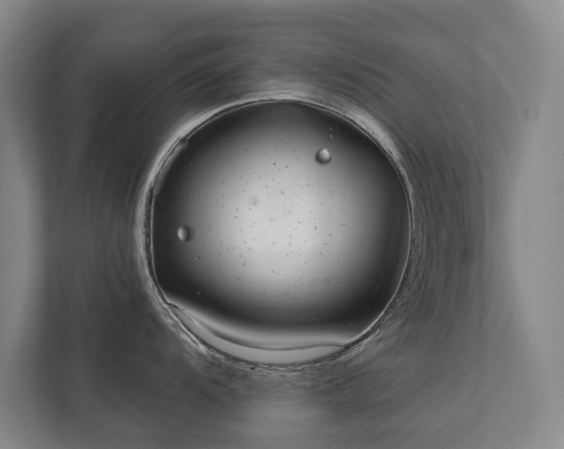 X0000111421104200907201043