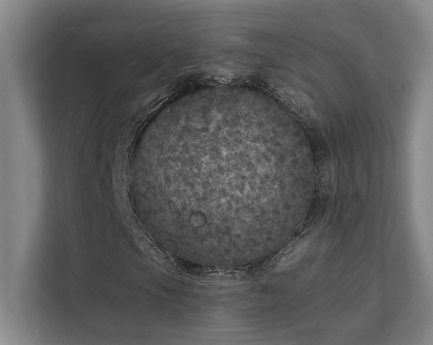 X0000111421105200907201042