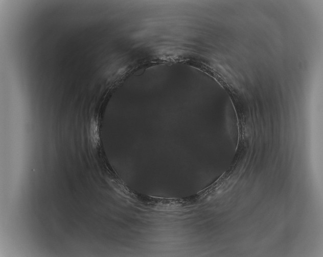 X0000111421106200907201042