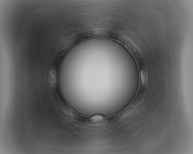 X0000111421107200907201042