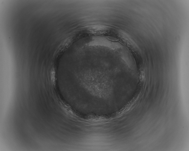 X0000111421108200907201042