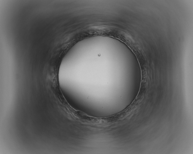 X0000111421109200907201042