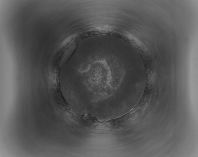 X0000111421110200907201042