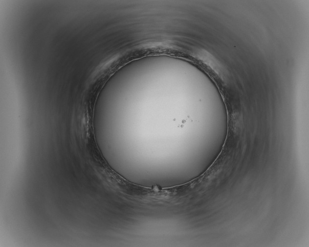 X0000111421111200907201042