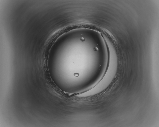 X0000111421112200907201042