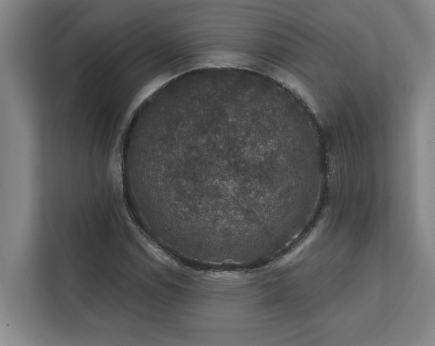 X0000111421114200907201042