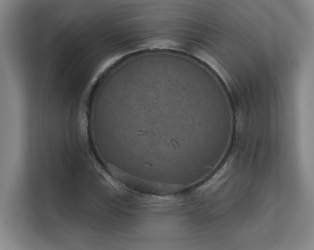 X0000111421115200907201042