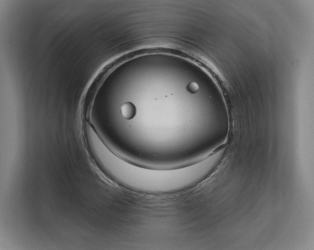 X0000111421116200907201042