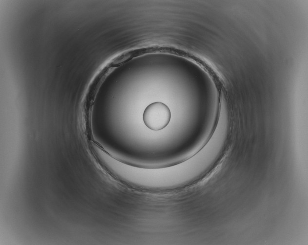 X0000111421118200907201042