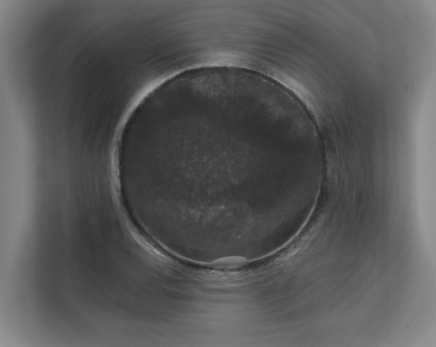 X0000111421120200907201042