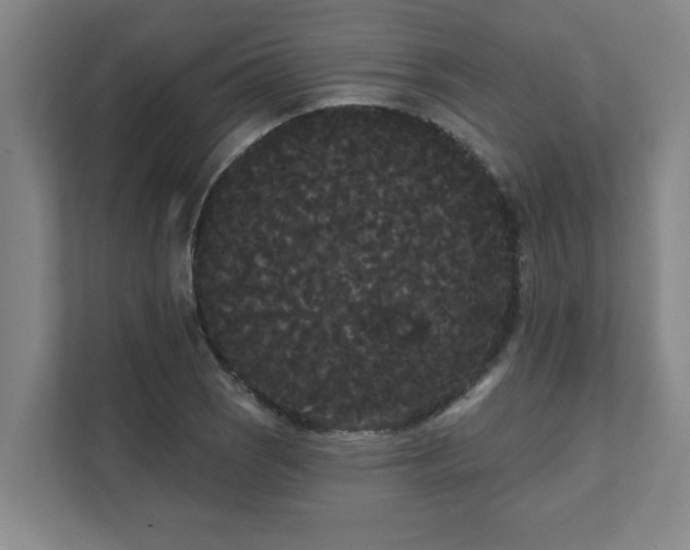 X0000111421121200907201042