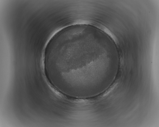 X0000111421124200907201042