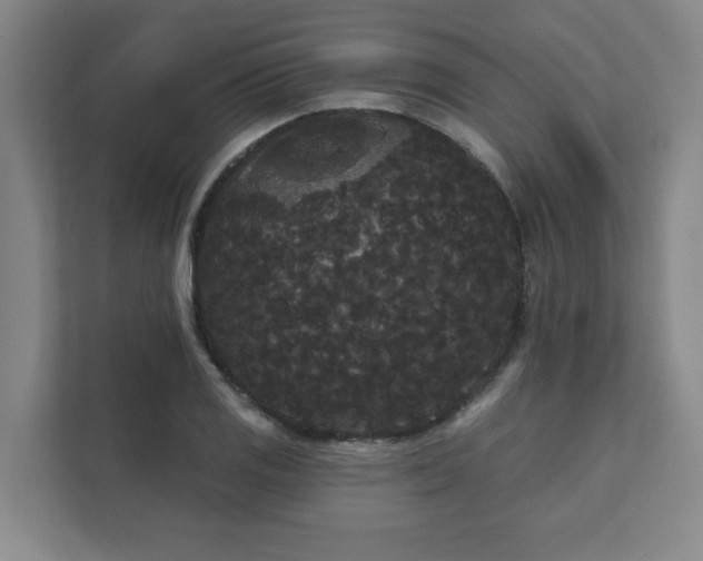 X0000111421125200907201042