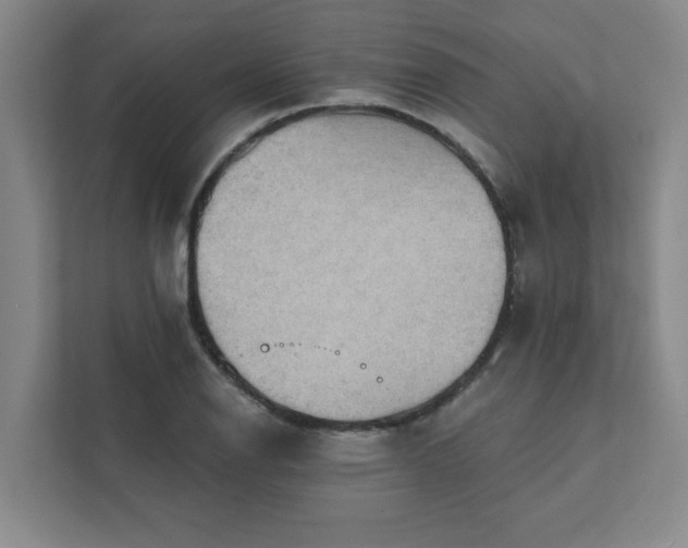 X0000111421126200907201042