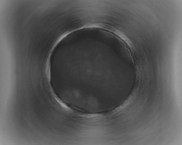 X0000111421127200907201042