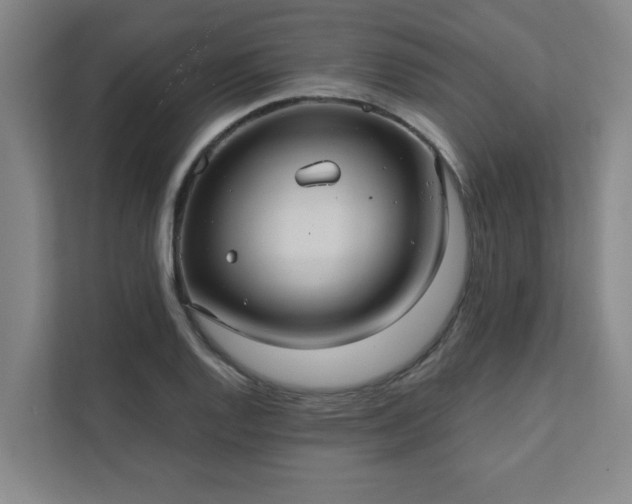 X0000111421128200907201042