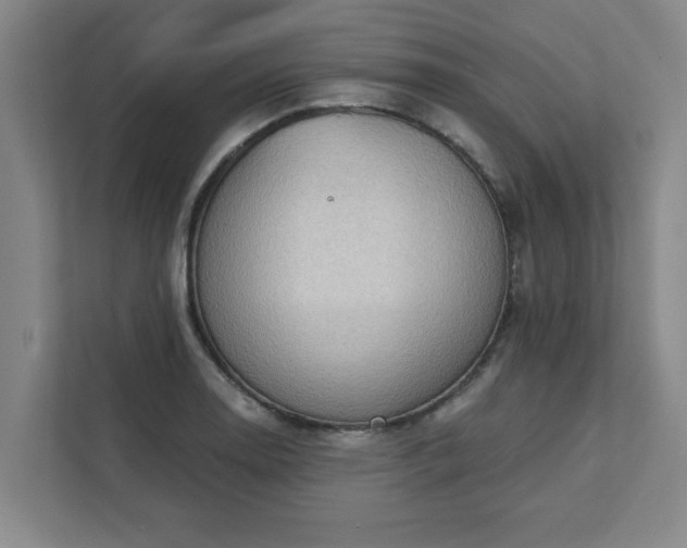 X0000111421130200907201042