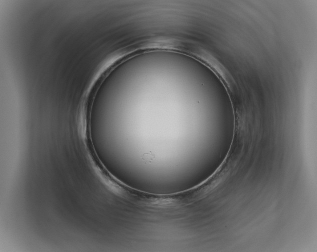 X0000111421131200907201042