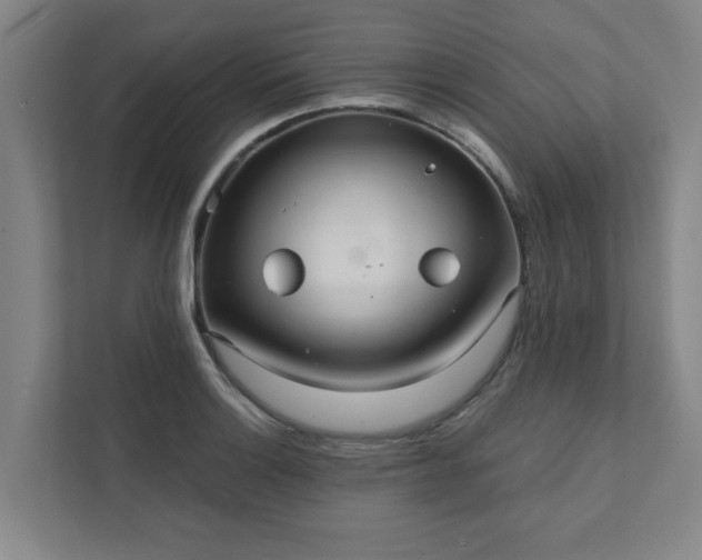 X0000111421132200907201042