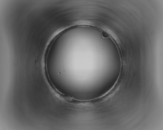 X0000111421133200907201042