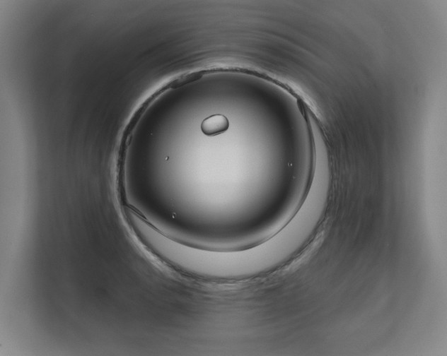 X0000111421134200907201042