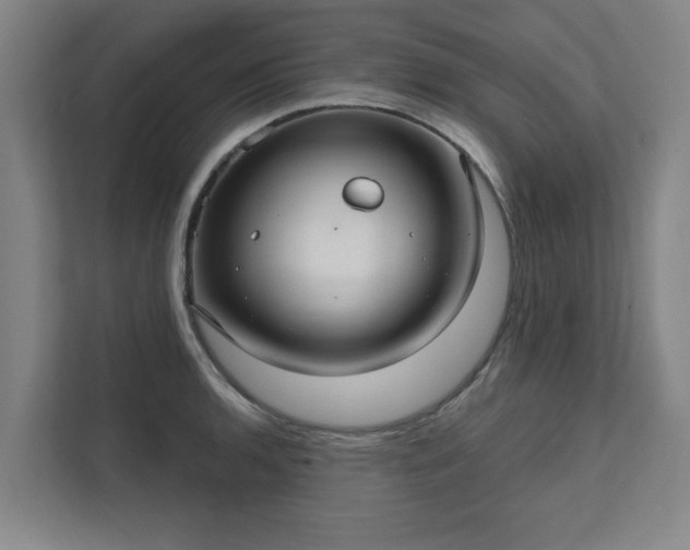 X0000111421136200907201042