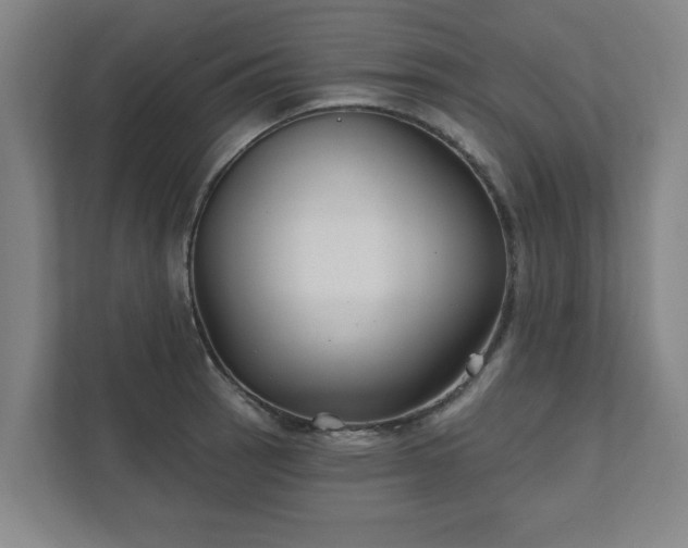 X0000111421137200907201042