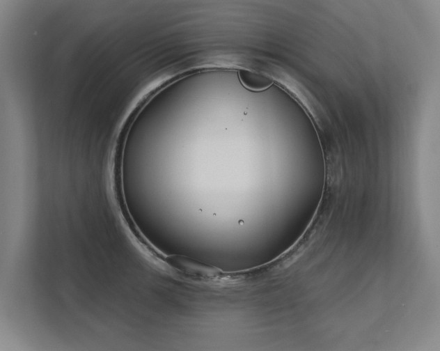 X0000111421139200907201042