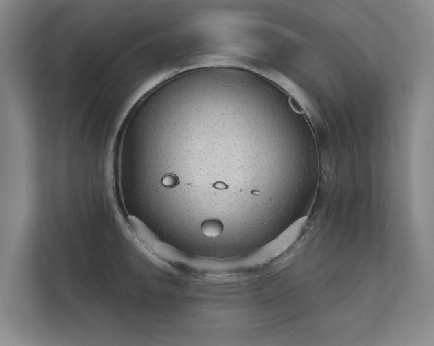 X0000111421142200907201042