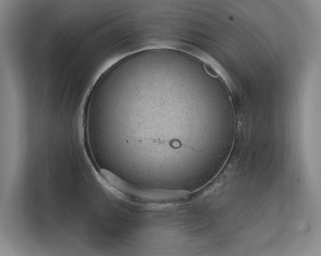 X0000111421143200907201042