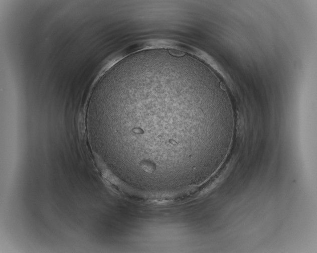 X0000111421145200907201042