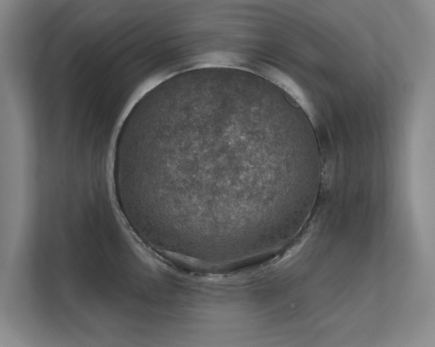 X0000111421146200907201042