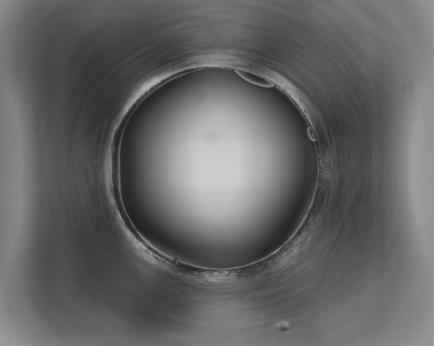 X0000111421147200907201042