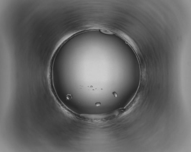 X0000111421149200907201042