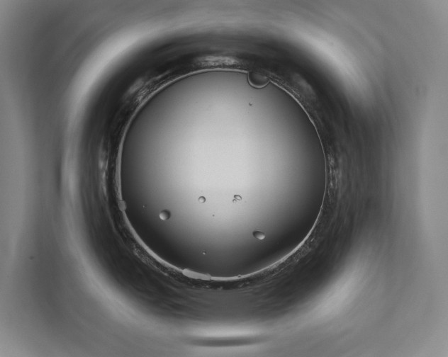 X0000111421151200907201043