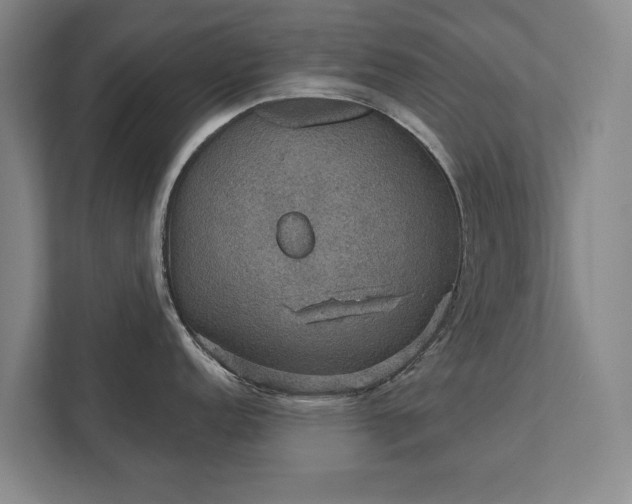 X0000111421152200907201043