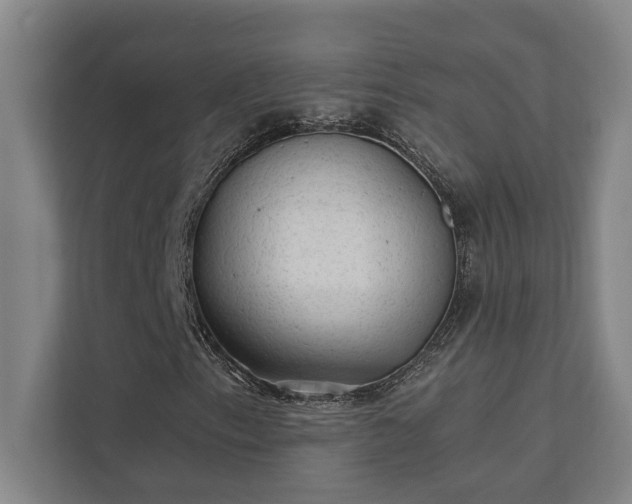 X0000111421153200907201042