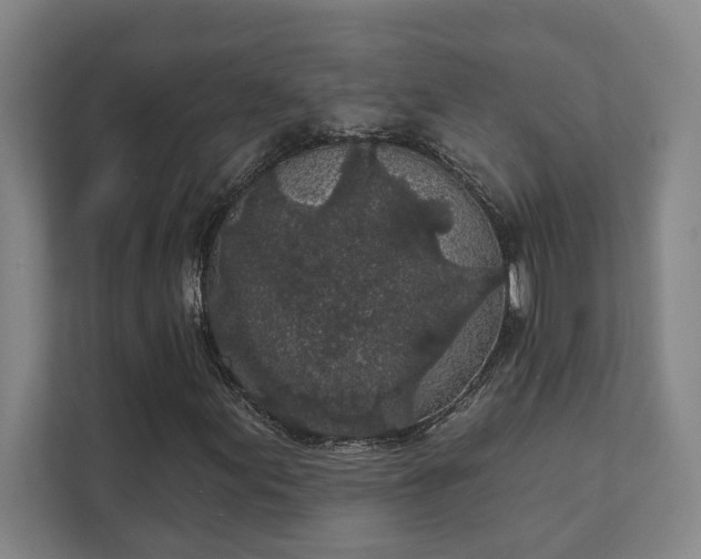 X0000111421155200907201042