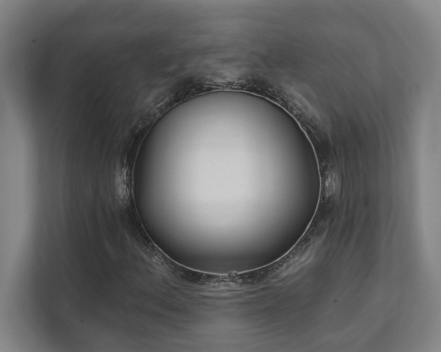 X0000111421156200907201042