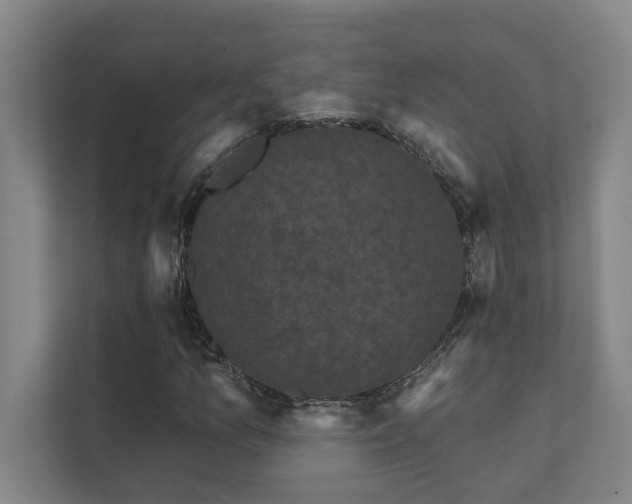 X0000111421157200907201042