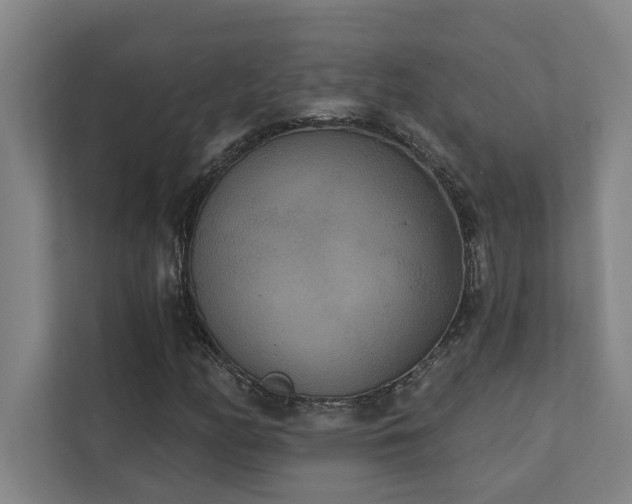 X0000111421158200907201042