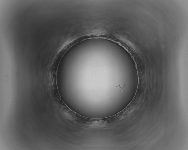 X0000111421160200907201042