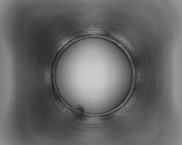 X0000111421162200907201042